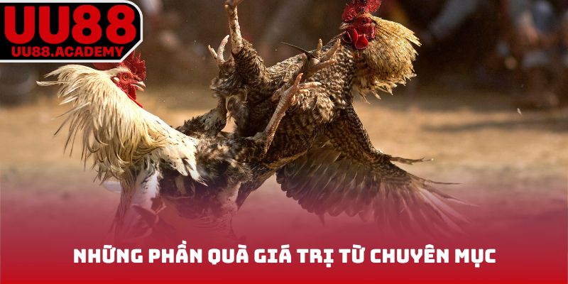 Những phần quà giá trị từ chuyên mục
